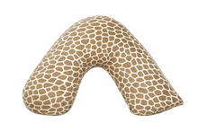 Posh & Plush Pillow