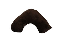 Posh & Plush Pillow